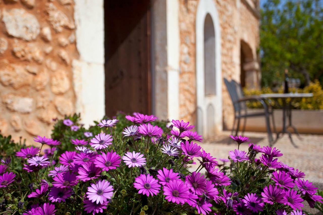 Agroturismo Es Quatre Cantons Binissalem Luaran gambar